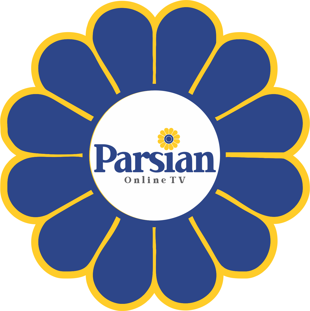 راه اندازی تلویزیون پارسیان